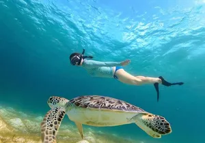 Swim with Turtles in Akumal, Cenote and Visit the Archaeological Zone