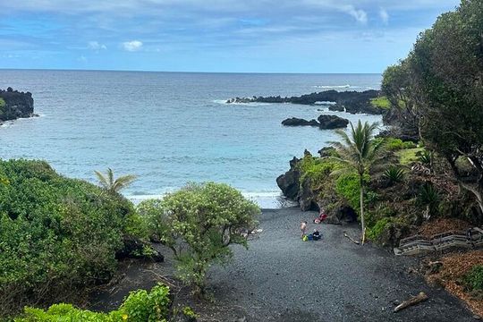 Maui: Sea Turtles & Waterfalls: Full-Day Road to Hana Guided Tour