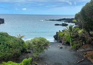 Maui: Sea Turtles & Waterfalls: Full-Day Road to Hana Guided Tour