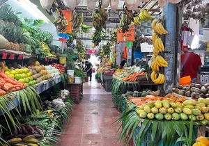 Steps Full of Flavor, Cancun Foodie & Market Tour