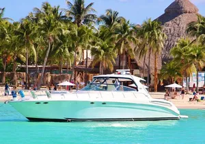 Beautiful SUNDANCER 60ft Private yacht / 18PAX 25P15