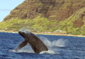 EPIC! Stand UP ATV and Sunset Cruise Experience