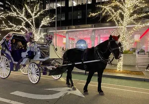 NYC Rockefeller Center Christmas Lights Horse Carriage Ride