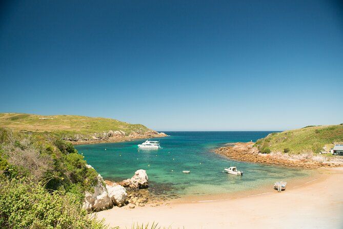 Queenstown: Walter Peak Farm Tour and Lake Cruise