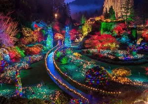 Victoria Sightseeing & Butchart Gardens Holiday Lights Tour