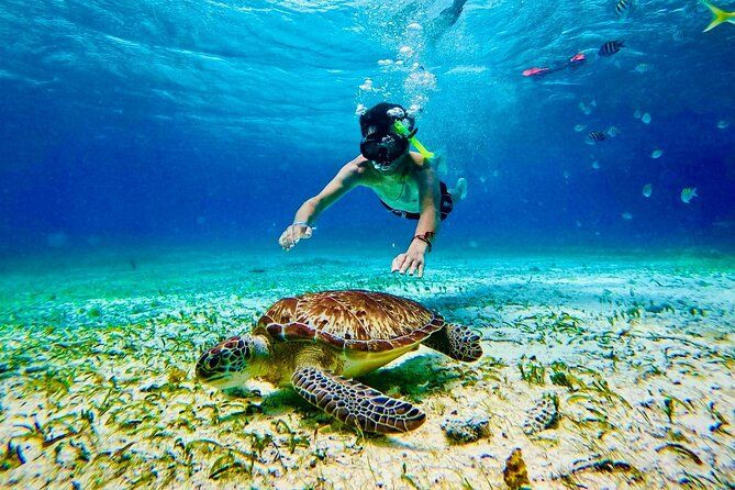 Costa Maya Snorkeling & All Inclusive Beach Club