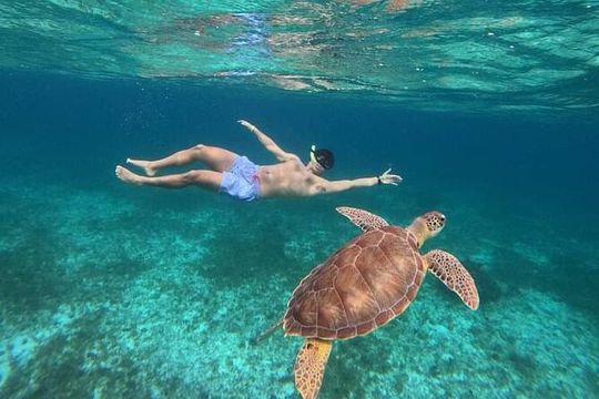 Cancun Catamaran: Sail to Isla Mujeres + Buffet & Drinks