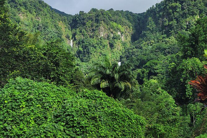 Dominica Scenic Waterfalls and Hot Springs @ Autop Tours