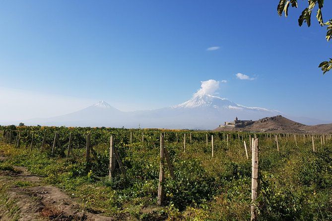 Day trip to: Khor Virap-Areni Winery-Noravank