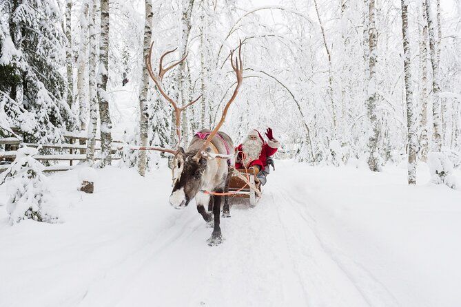 Reindeer Sleigh Ride and Farm Experience from Rovaniemi