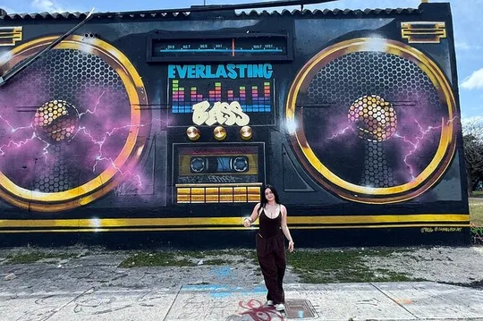 Coming to Miami? Start Here! Best of Miami in One Day VIP Tour!6h