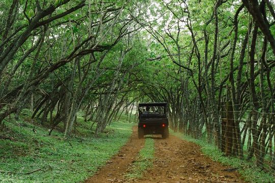 Private Off Road Explorer's Tour