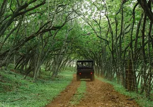 Private Off Road Explorer's Tour