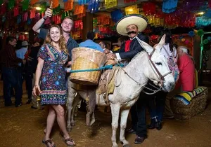 Camel Ride in Los Cabos with Buffet Food and Beer