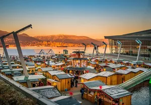 Vancouver Christmas Lights Karaoke Trolley Tour