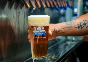 Beer and Snacks Crawl in Playa del Carmen