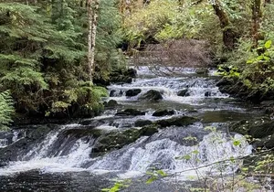 Beautiful Hike on Tongass National Forest's Lunch Creek Trail