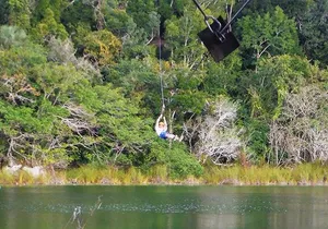 Private Tour: Jungle Adventure at Punta Laguna Nature Reserve