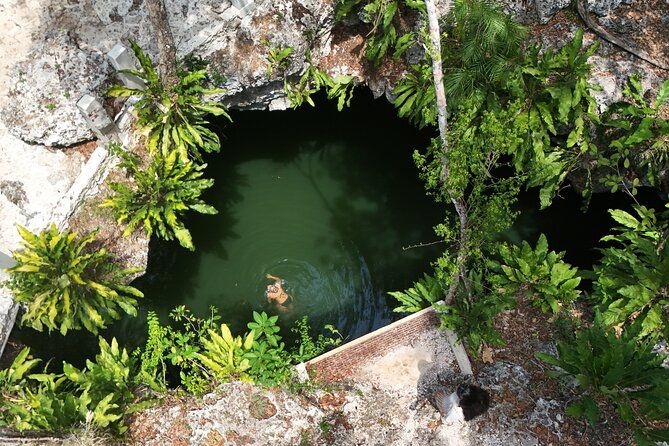 Private Jeep Cenote Expedition in Cozumel – Swim & Mayan Park