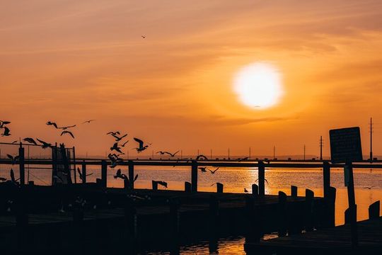 2-Hr Sunset Ultimate Party Pontoon Rental in Chincoteague Island