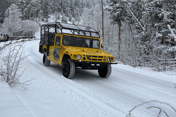 Winter Wonderland Adventure Tour | Sledding (Wildside 4x4 Tours)