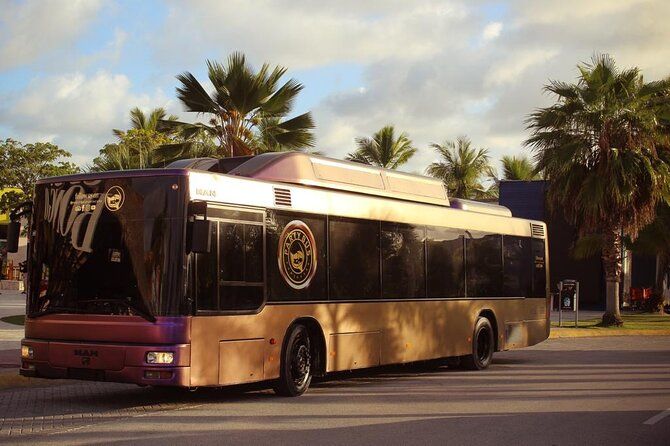 Party Bus Rental