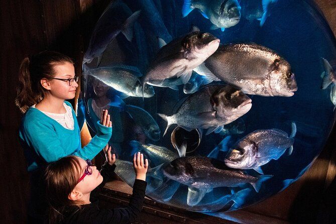 SEA LIFE Speyer Admission Ticket