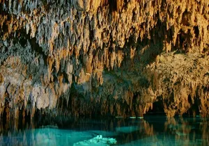 Mystic Adventure Atv and Cenote Experience from Tulum