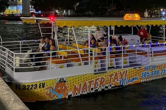 South Beach: Cruise of Millionaire’s Homes & Miami Skyline