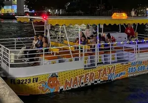 South Beach: Cruise of Millionaire’s Homes & Miami Skyline