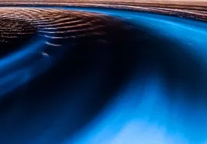 Luminous Lagoon Private Tour in Jamaica