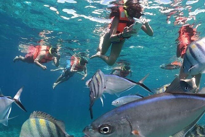 Private Catamaran Tour to Isla Mujeres