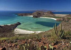 Balandra Beach Bliss Your Baja Day Adventure from Cabo