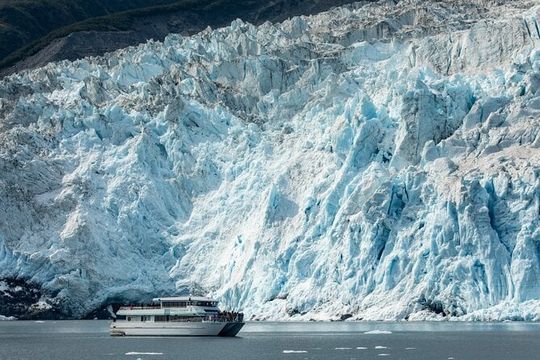 Captain's Choice Kenai Fjords National Park Tour from Seward