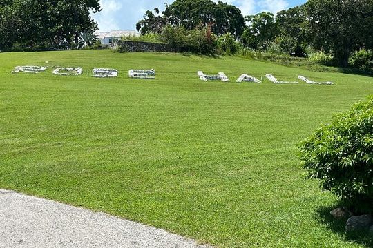 Rose Hall Great House and Craft Market Tour