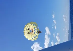 Montego Bay Highlight Tour