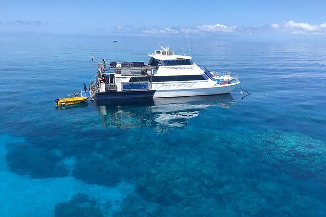 Cairns: Best Value All-inclusive Reef Trip With Scuba Dive