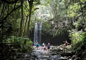 Waterfall & Rainforest Hiking Adventure with Hotel Pickup