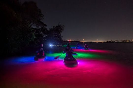 Bioluminescent Comb Jelly & LED Kayak / Paddle board Excursion