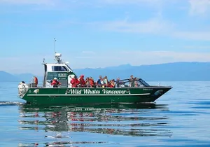 Wild Whale Watching Experience - Open Air Vessel