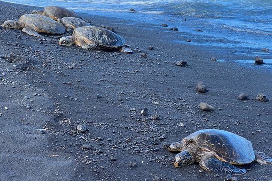 Private Big Island: Volcano, Waterfalls & Coffee Full-Day Tour