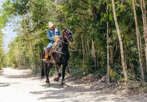Tour Nature on horseback and cenote