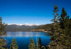 Day Tour from San Francisco to Lake Tahoe