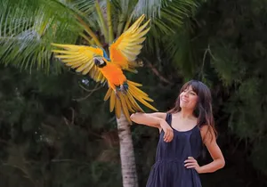 Las Caletas The Best Kept Secret of Puerto Vallarta