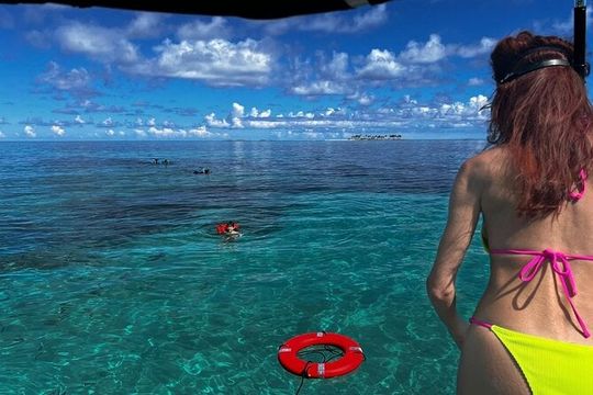 Catamaran Snorkel & Beach Day with Turtles