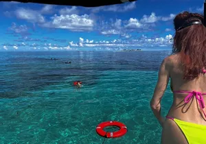 Catamaran Snorkel & Beach Day with Turtles