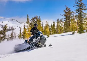 Tahoe Summit Snowmobiling Tours