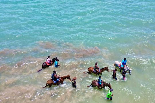 Horseback Riding Experience