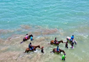 Horseback Riding Experience