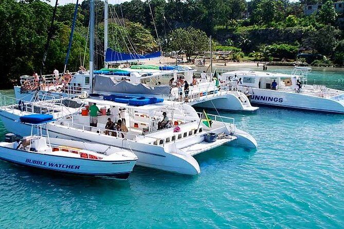 Sunset Catamaran cruise, Snorkeling and Rick's Cafe from Mobay